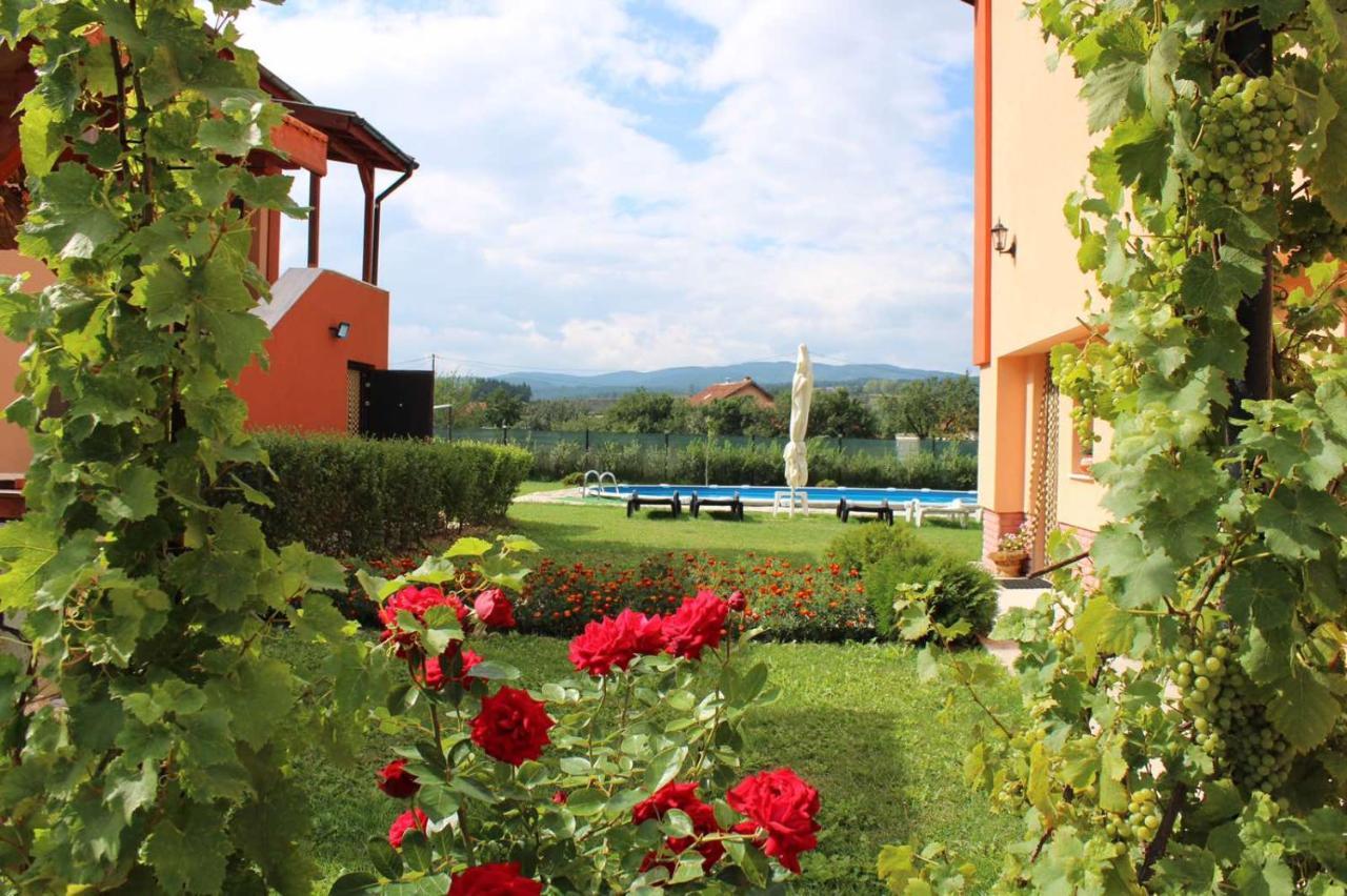 Къщи За Гости Ореха Samokow Exterior foto