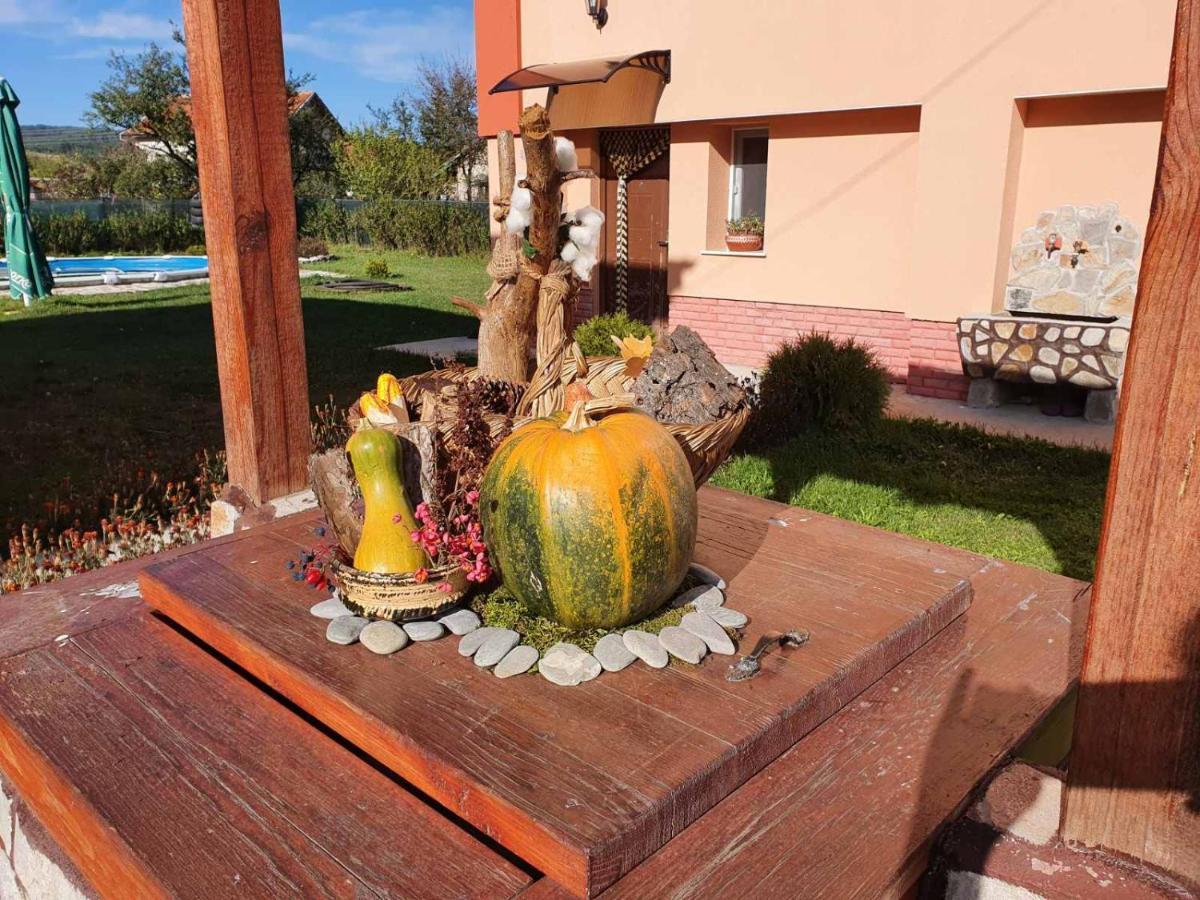 Къщи За Гости Ореха Samokow Exterior foto